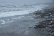 Des King - An early morning walk on the beach